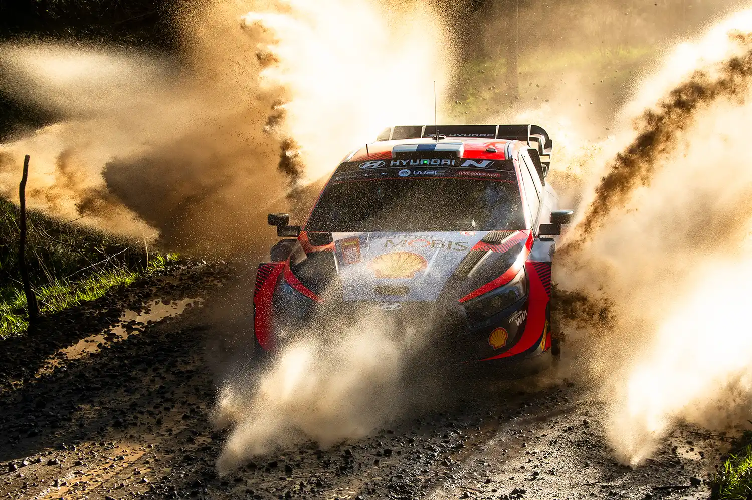 WRC - Tänak stars on pulsating Friday in Chile